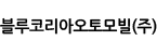 블루코리아오토모빌(주)
