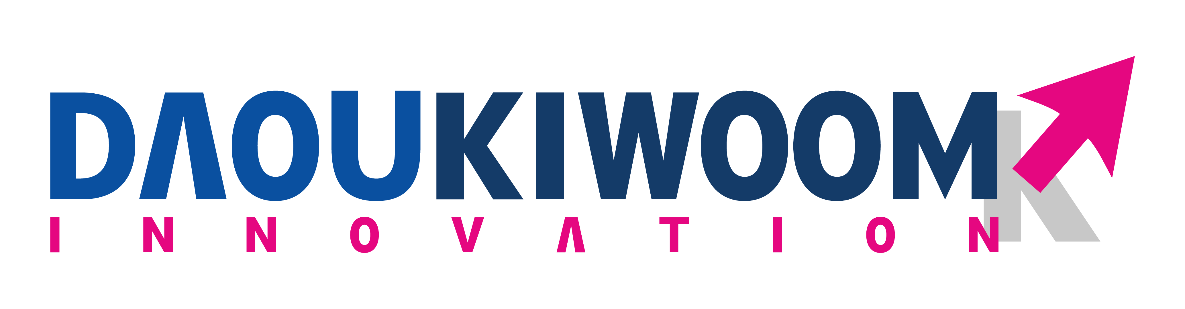 DAOUKIWOOM INNOVATION CO., LTD
